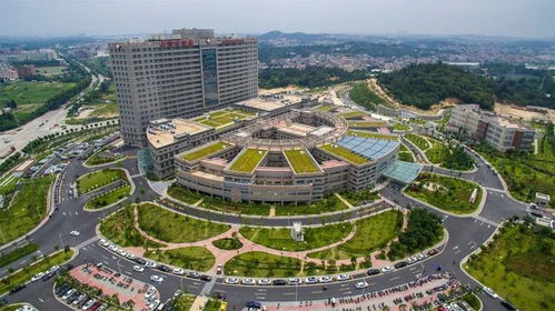 福建新答卷 石狮 我是shishī,为建设现代化商贸之都,我拼了